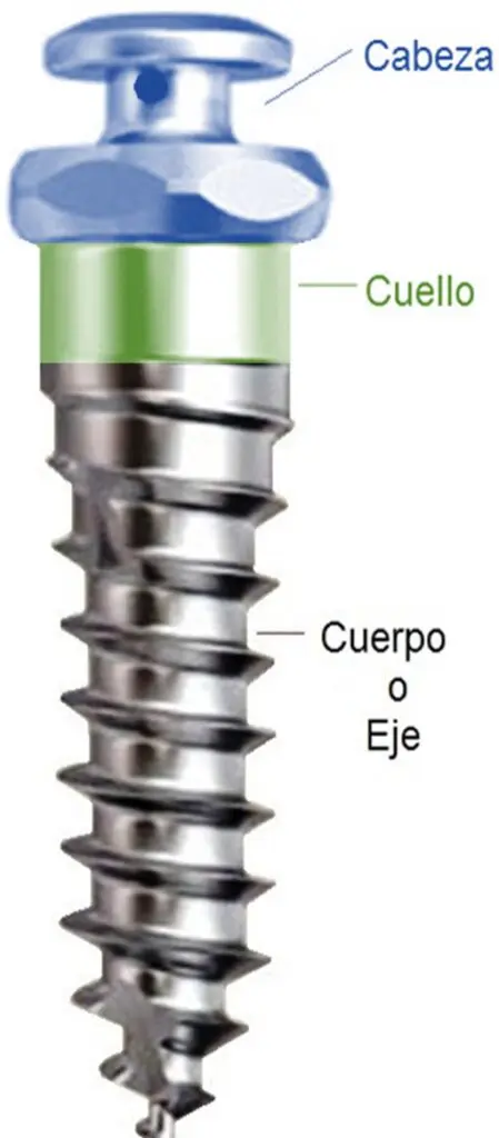 Tipos de cabeza de micro-implante